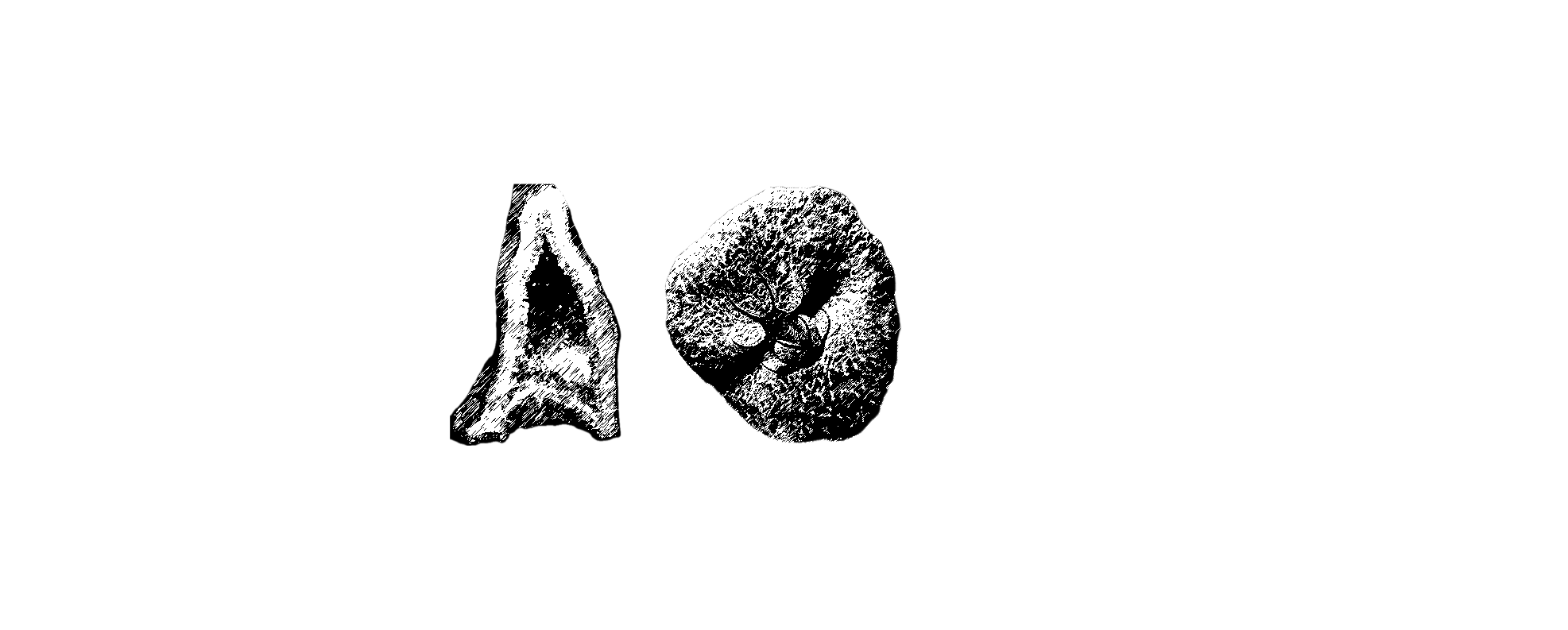 Baner